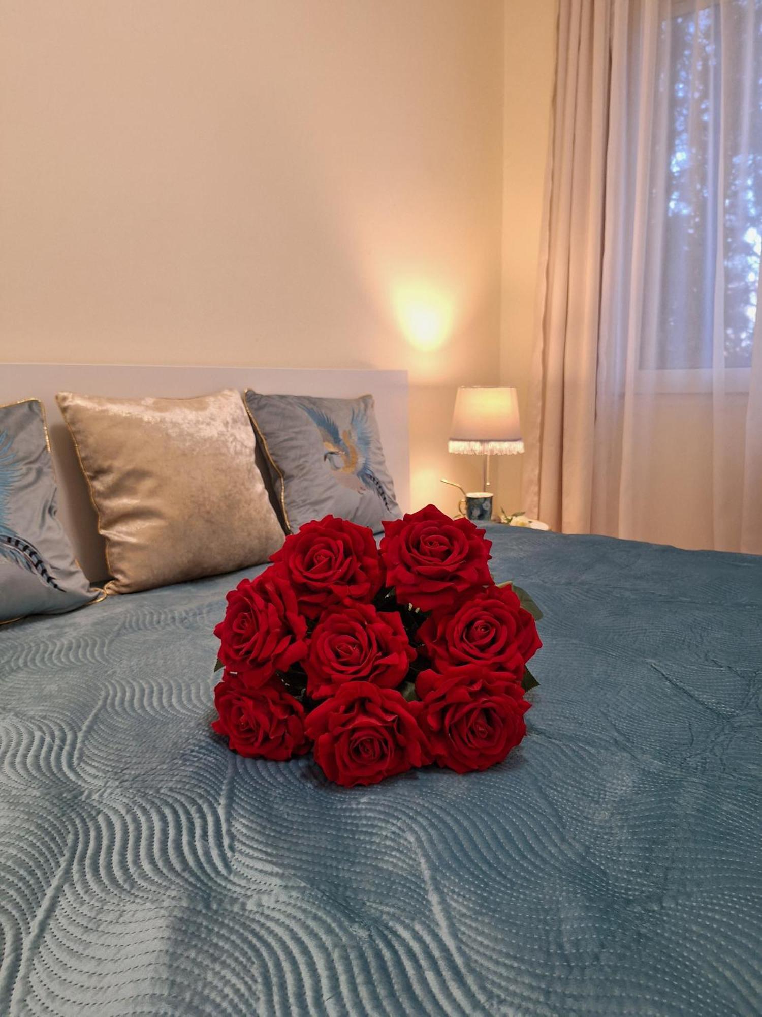 Albina Apartman Eger Luaran gambar