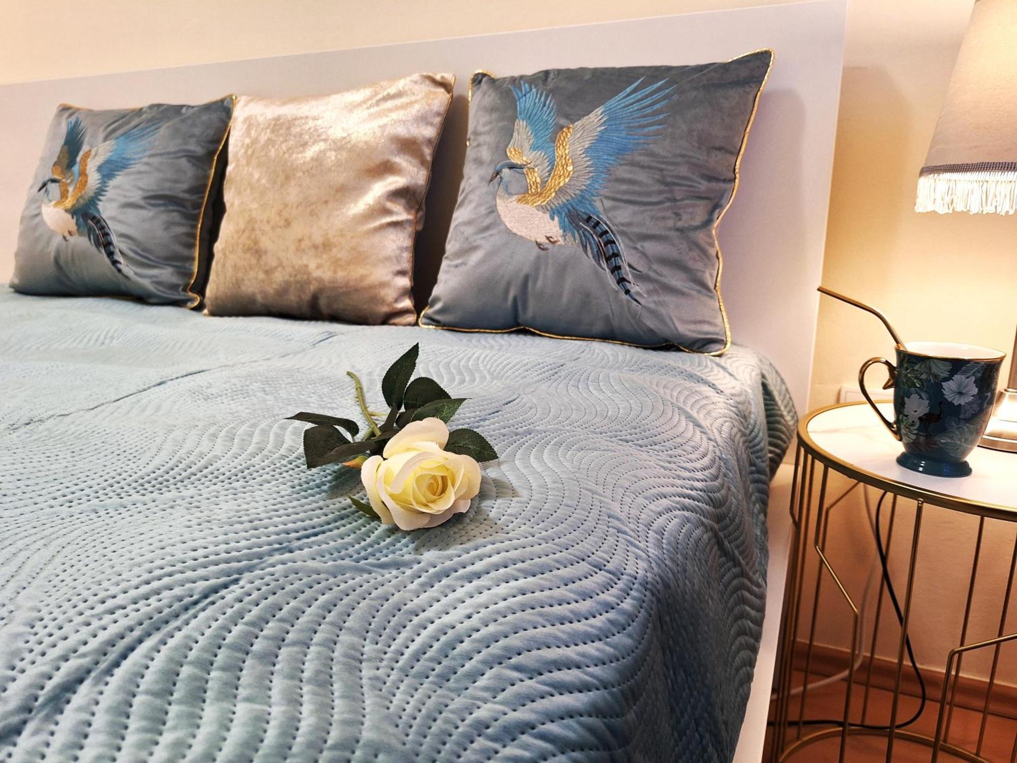 Albina Apartman Eger Luaran gambar