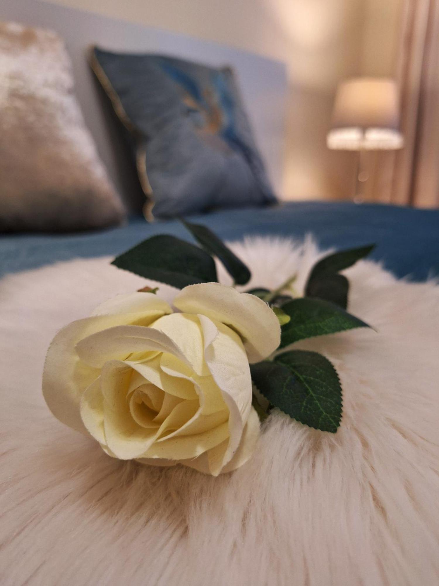 Albina Apartman Eger Luaran gambar